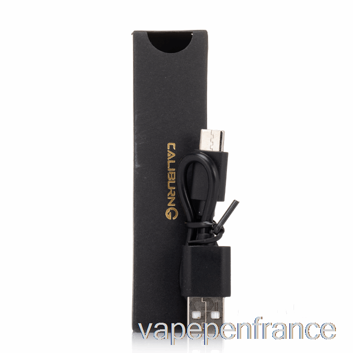 Chargeur USB Uwell Caliburn G (discontinué) Stylo Vape