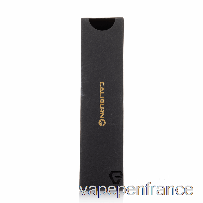 Chargeur USB Uwell Caliburn G (discontinué) Stylo Vape