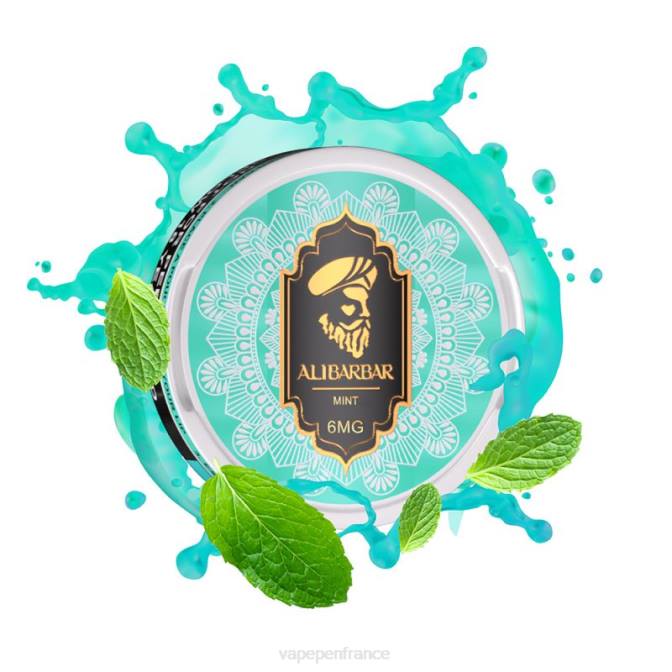 Vape Pen - Alibarbar sachets de nicotine menthe 6ZVP89