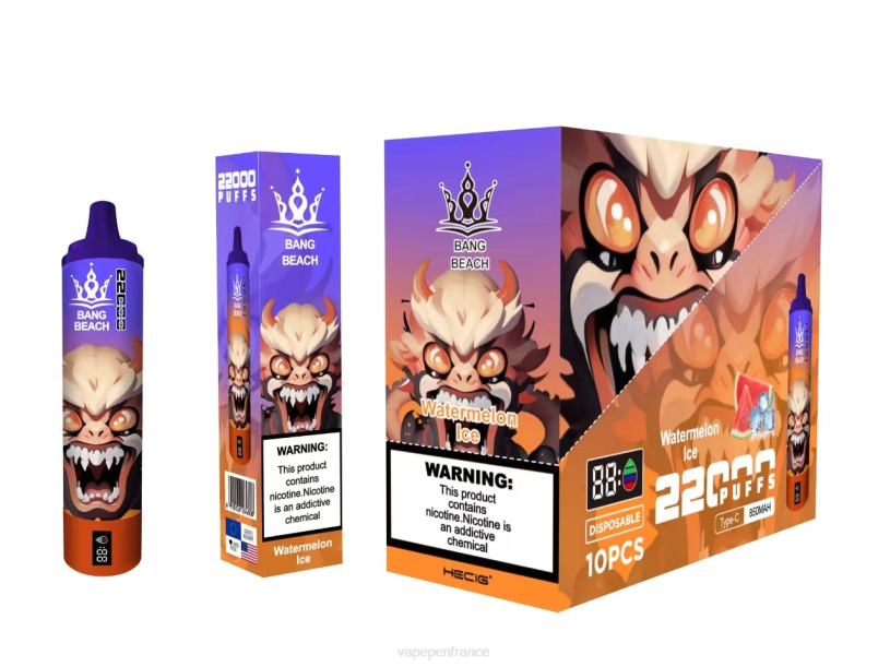 Vape France - Bang Beach Écran intelligent de 22 000 bouffées P80J22 glace à la pastèque