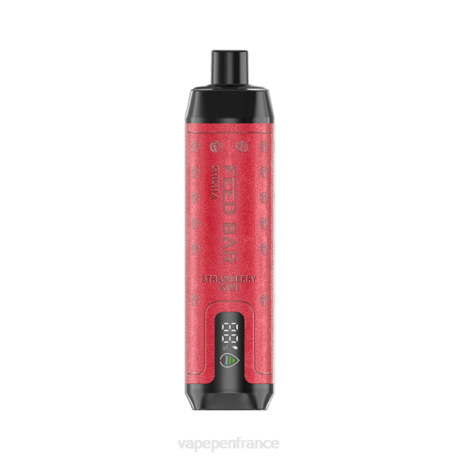 Vape France - Vapsolo SHISHA vape jetable fraise-kiwi 6ZVP122