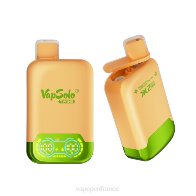 Vape France - Vapsolo TWINS vape jetable pastèque mangue orange & taureau rouge 6ZVP142