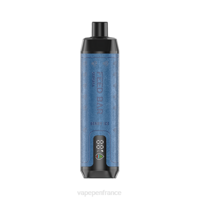 Vape Pen - Vapsolo SHISHA vape jetable glace aux baies 6ZVP113