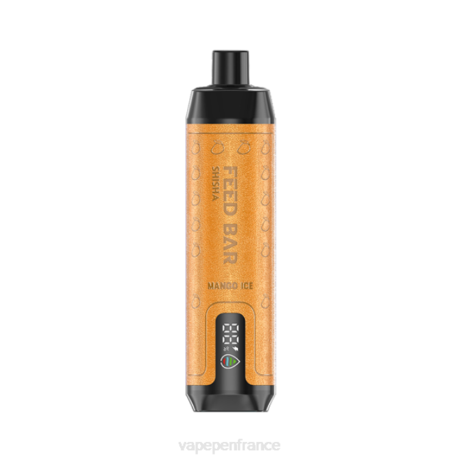 Vape Pen - Vapsolo SHISHA vape jetable glace à la mangue 6ZVP121