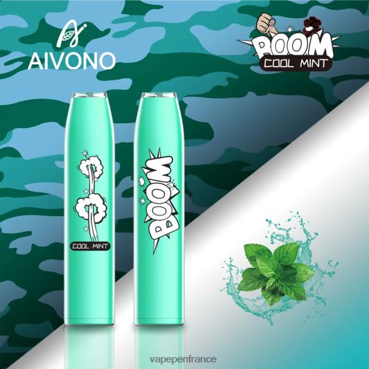 Cigarette Electronique France - menthe fraîche Aivono AIM BOOM 600 L6246J357