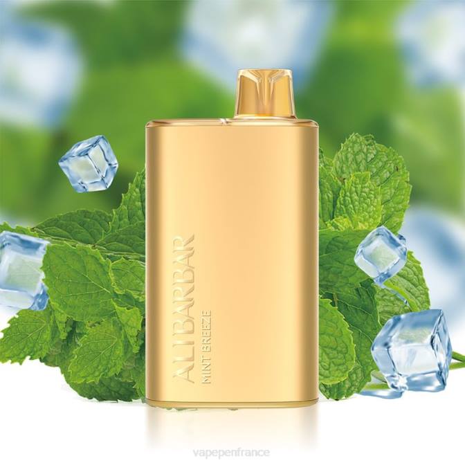 Cigarette Electronique France - Alibarbar Rich 8000 vapes jetables brise de menthe 6ZVP8