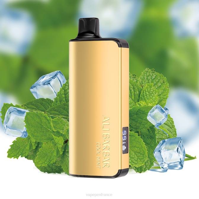 Vape France - Alibarbar Ingot 9000 vapes jetables menthe fraîche 6ZVP18