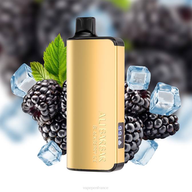 Vape France - Alibarbar Ingot 9000 vapes jetables menthe fraîche 6ZVP18