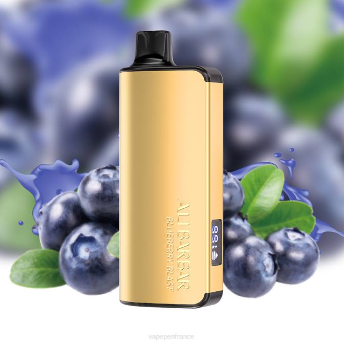 Vape France - Alibarbar Ingot 9000 vapes jetables menthe fraîche 6ZVP18