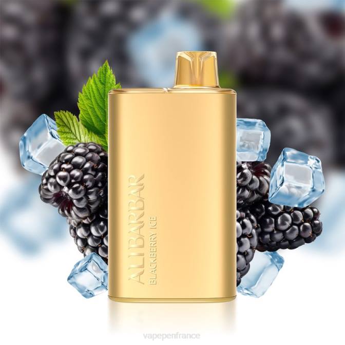 Vape France - Alibarbar Rich 8000 vapes jetables glace aux mûres 6ZVP10