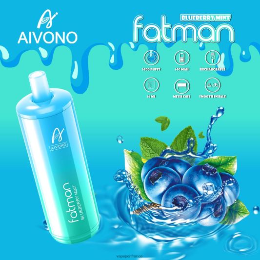 Vape France - menthe myrtille Aivono FATMAN 6800 L6246J22