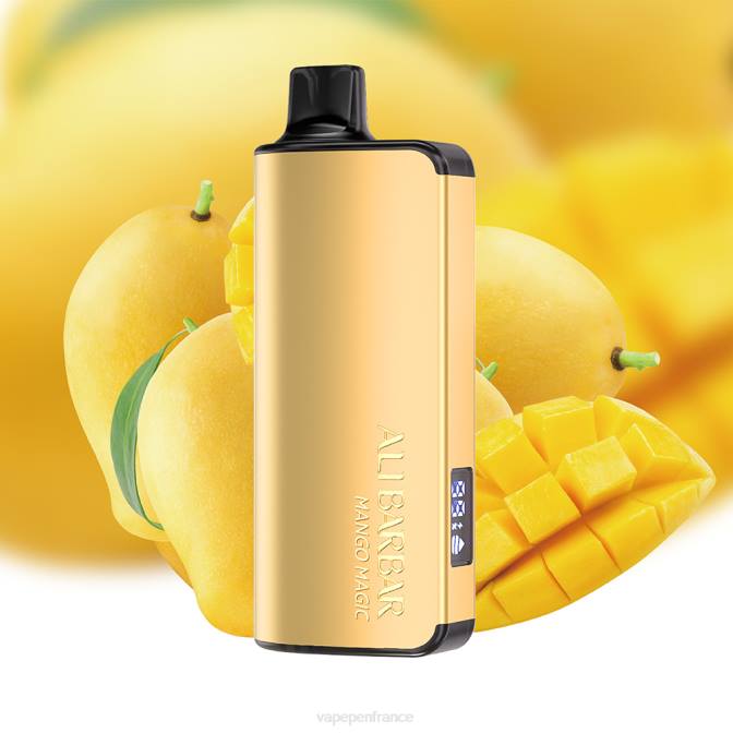 Vape Pen - Alibarbar Ingot 9000 vapes jetables magie de la mangue 6ZVP29