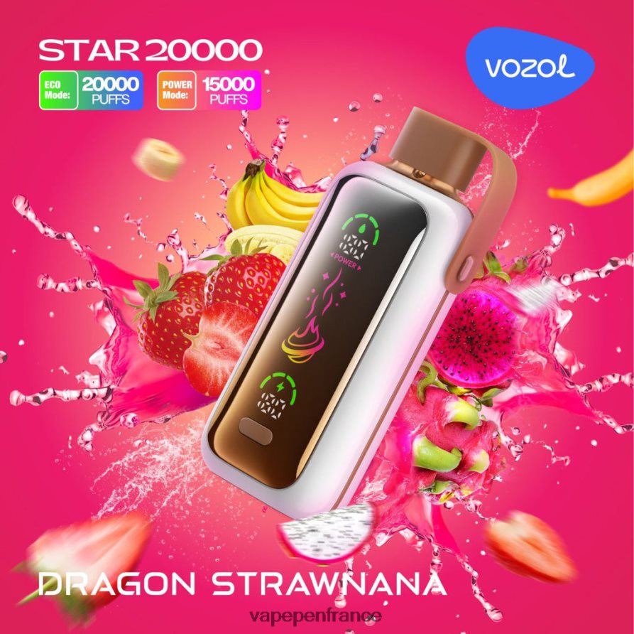 Cigarette Electronique France - Dragon Strawnana VOZOL STAR 20000 V48Z868