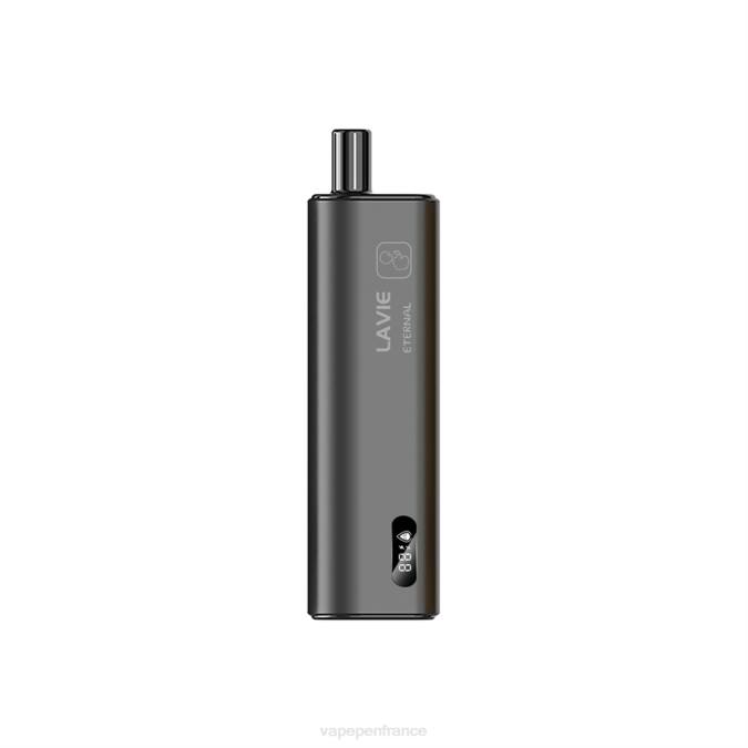 Cigarette Electronique France - double pomme 8F04120 LAVIE ETERNAL 10000 bouffées