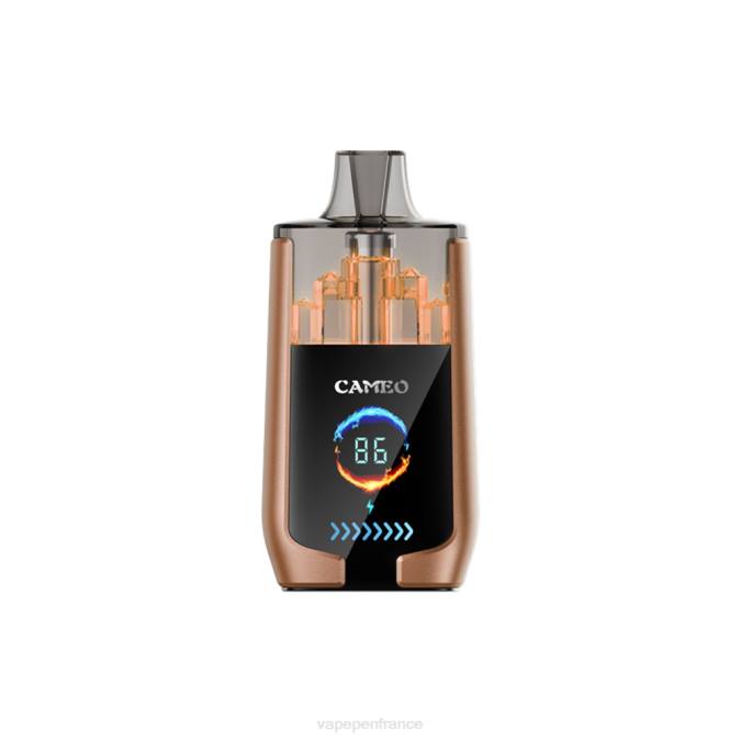 Cigarette Electronique France - glace au café 8F0418 LAVIE CAMEO 30000 bouffées