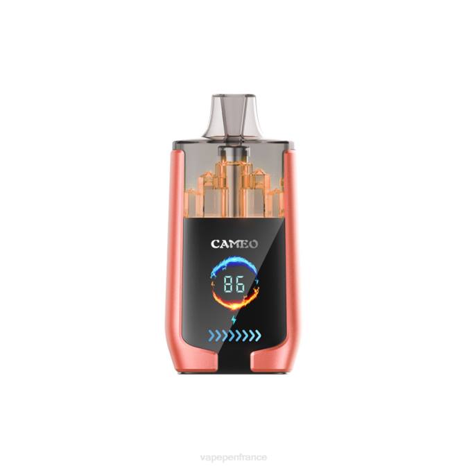 Cigarette Electronique France - pastèque fraise 8F0424 LAVIE CAMEO 30000 bouffées