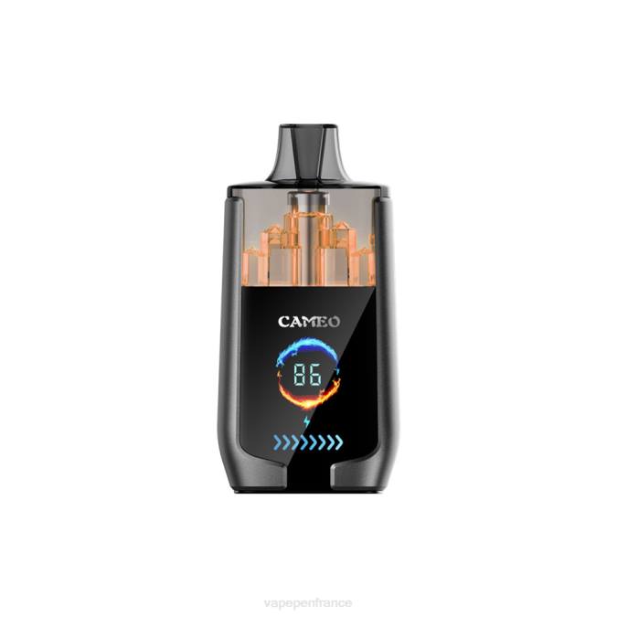 Eliquide France - cola au citron 8F0423 LAVIE CAMEO 30000 bouffées