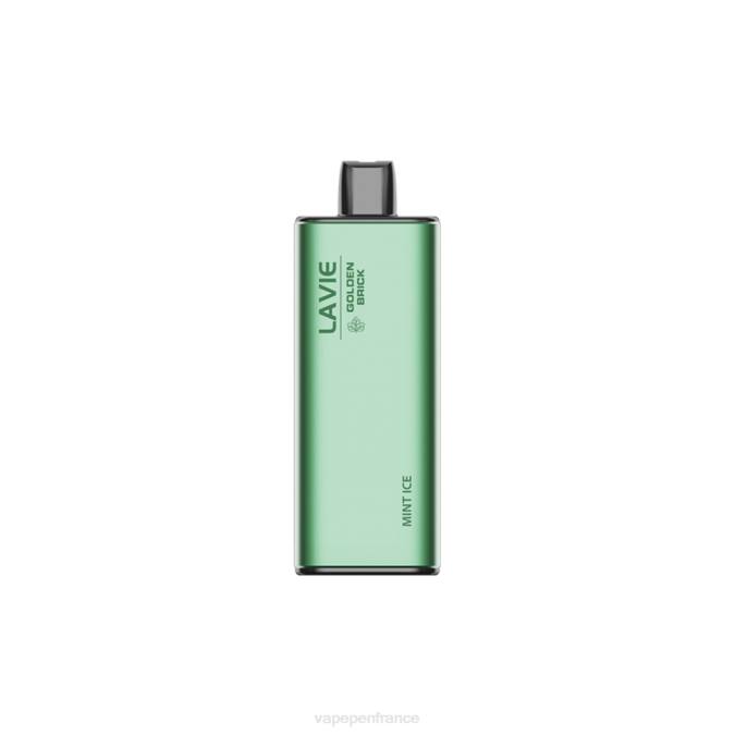 Eliquide France - glace à la menthe 8F0462 LAVIE GOLDEN BRICK 10000 bouffées