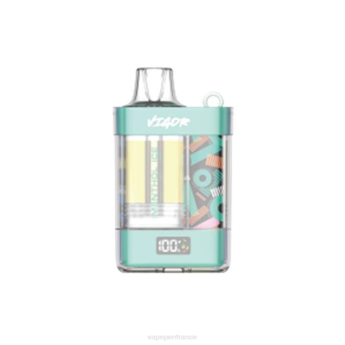Eliquide France - glace mentholée 8F042 LAVIE VIGOR 15000 bouffées