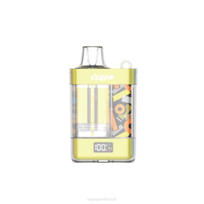 Eliquide France - litchi pastèque 8F0411 LAVIE VIGOR 15000 bouffées