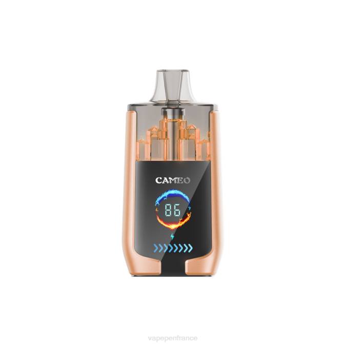 Vape France - cerise 8F0422 LAVIE CAMEO 30000 bouffées