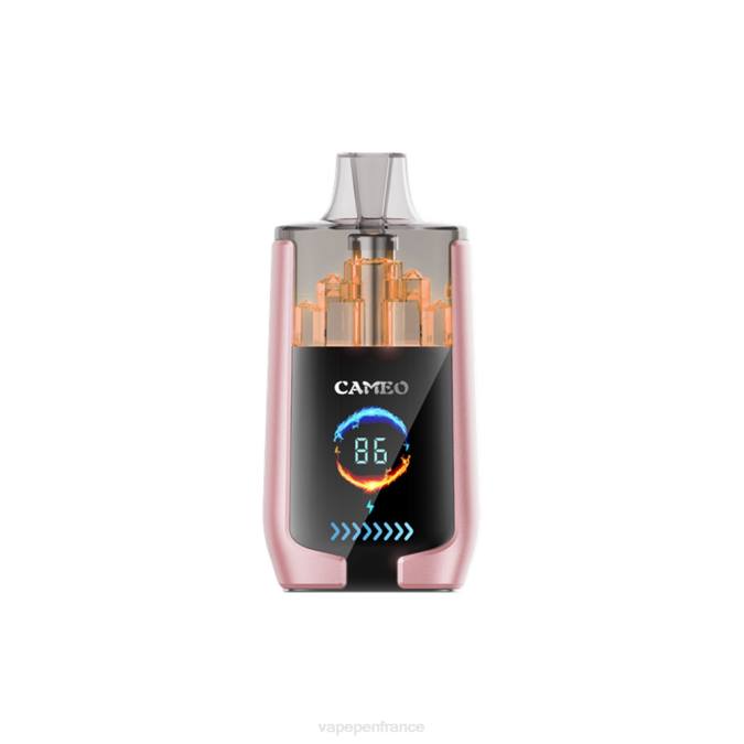 Vape France - fruits tropicaux 8F0419 LAVIE CAMEO 30000 bouffées