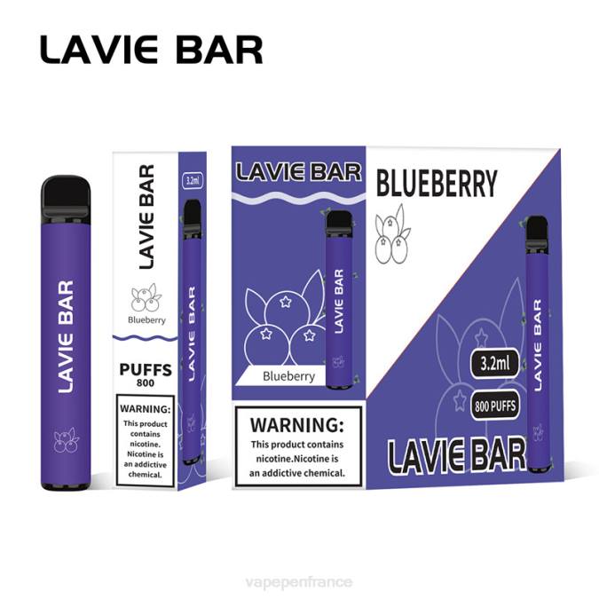Vape France - glace aux myrtilles 8F04310 LAVIE BAR 800 bouffées