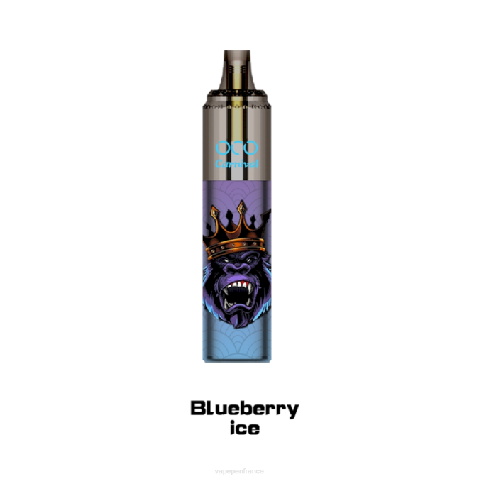 Vape France - glace aux myrtilles 8F04349 LAVIE OCO carnaval 10000 bouffées