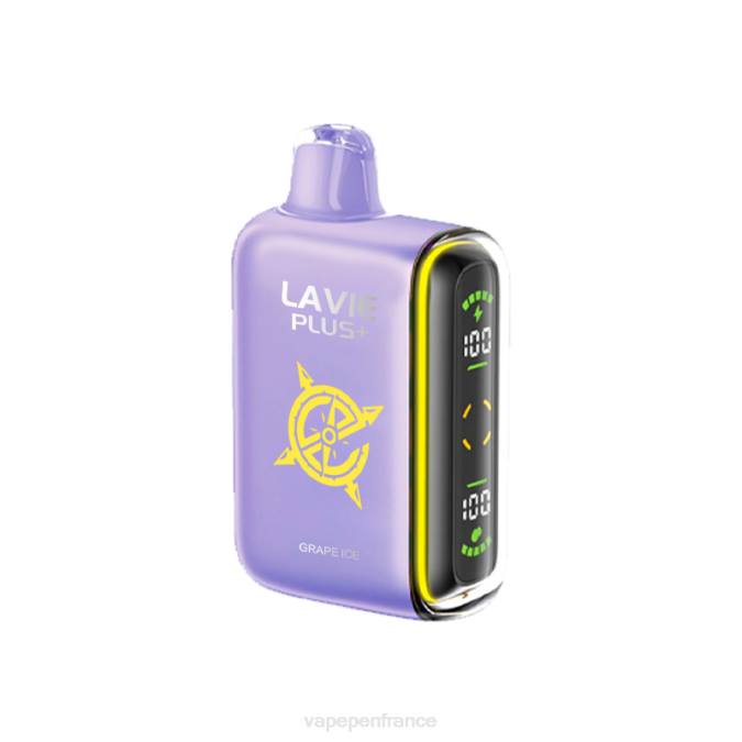 Vape France - glace aux raisins 8F04103 LAVIE PLUS 15000 bouffées