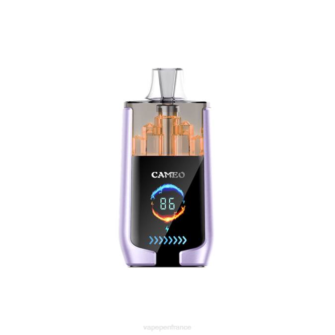 Vape France - glace aux raisins 8F0416 LAVIE CAMEO 30000 bouffées