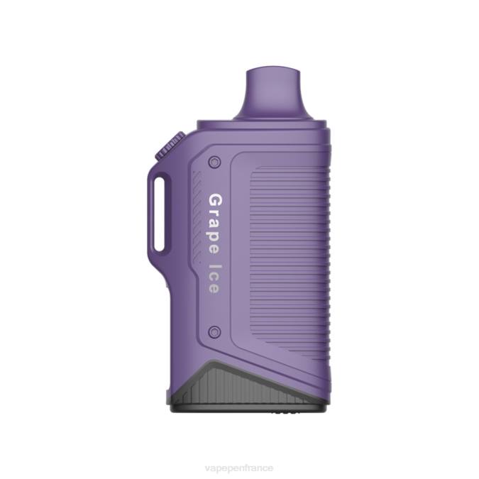 Vape France - glace aux raisins 8F0476 LAVIE Energy Box 15000 bouffées