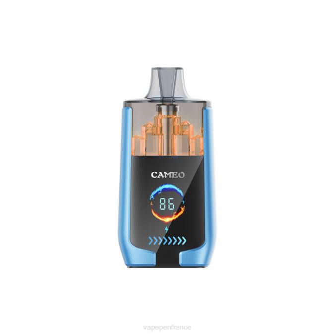Vape France - glace à la fraise 8F0413 LAVIE CAMEO 30000 bouffées