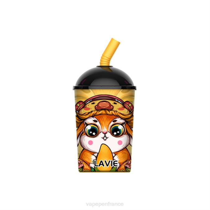 Vape France - glace à la mangue 8F04262 LAVIE Max Cup 8000 bouffées