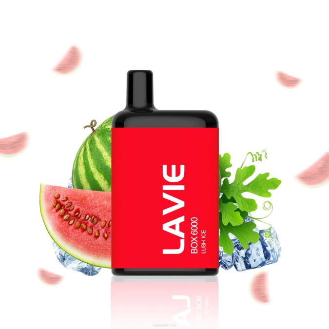 Vape France - glace luxuriante 8F04199 LAVIE BOX 6000 bouffées