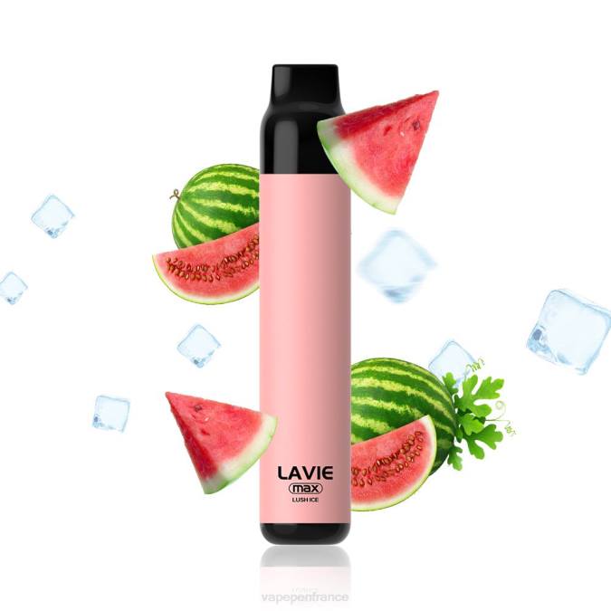 Vape France - glace luxuriante 8F04277 LAVIE BAR 5000 bouffées - maximum
