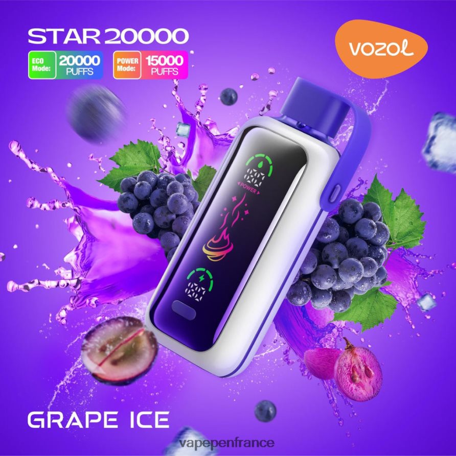Vape Pen - glace aux raisins VOZOL STAR 20000 V48Z869