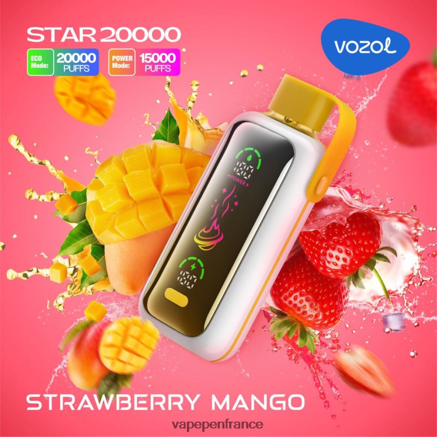 Vape Pen - mangue fraise VOZOL STAR 20000 V48Z861