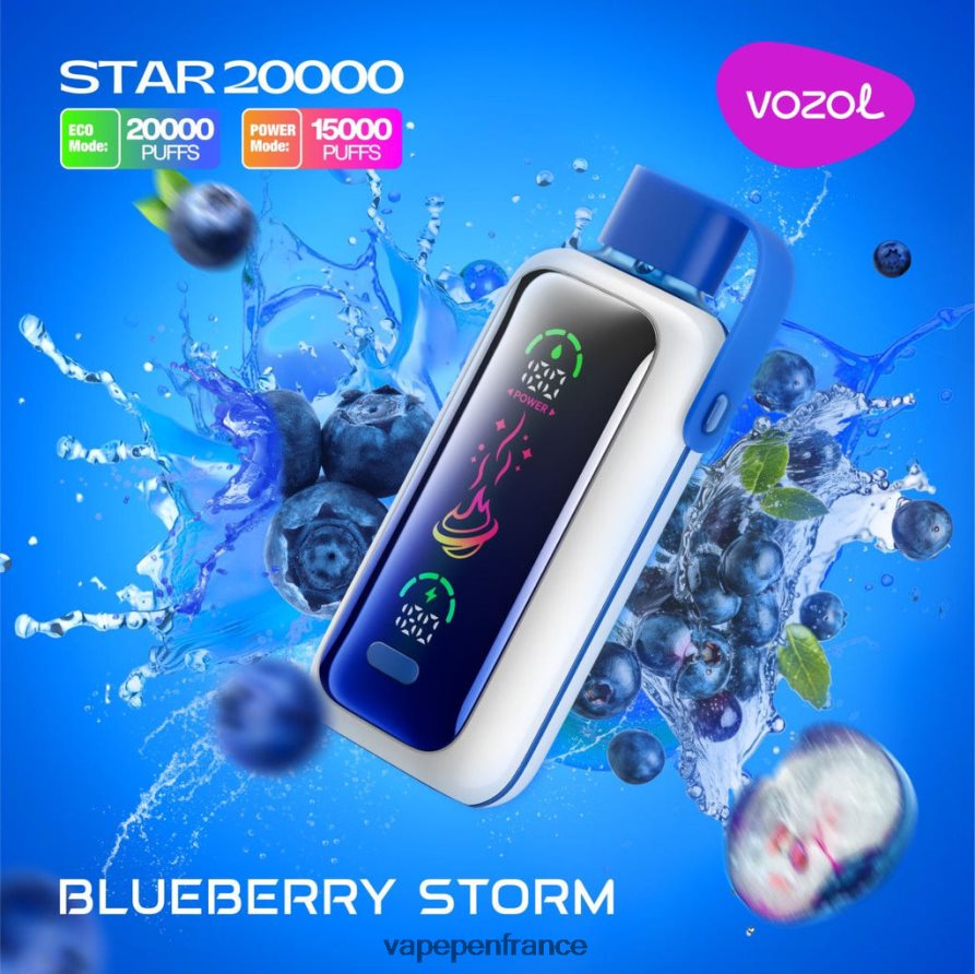 Vape Pen - tempête de bleuets VOZOL STAR 20000 V48Z865